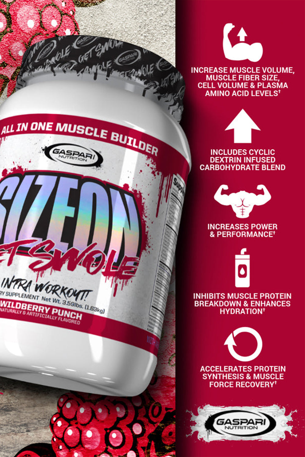 Gaspari Nutrition SizeON